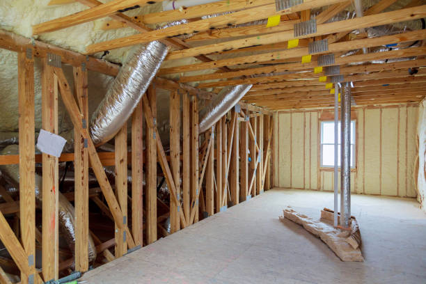 Best Cellulose Insulation  in Sloan, IA